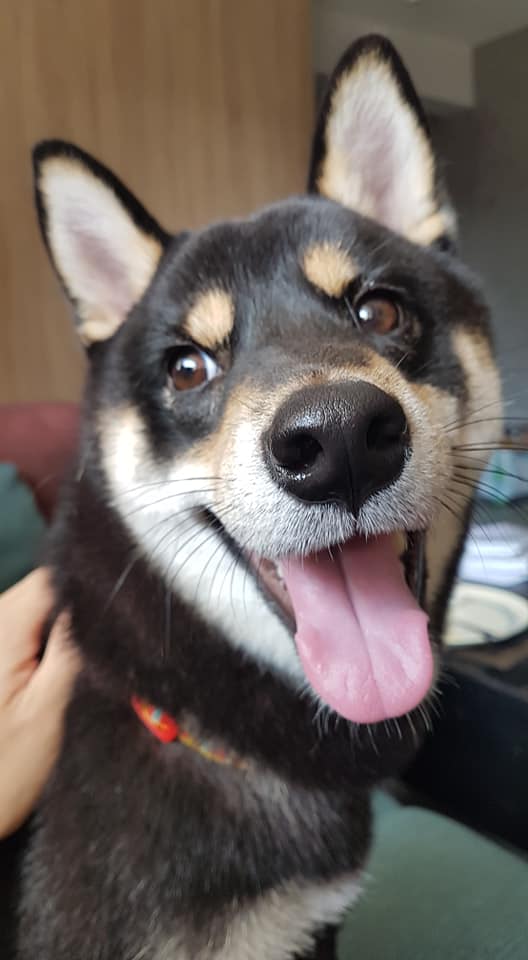 超齡兒童の旅行